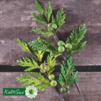 Katy Sue Designs Winter Foliage Silicone Mold nlc034 stems