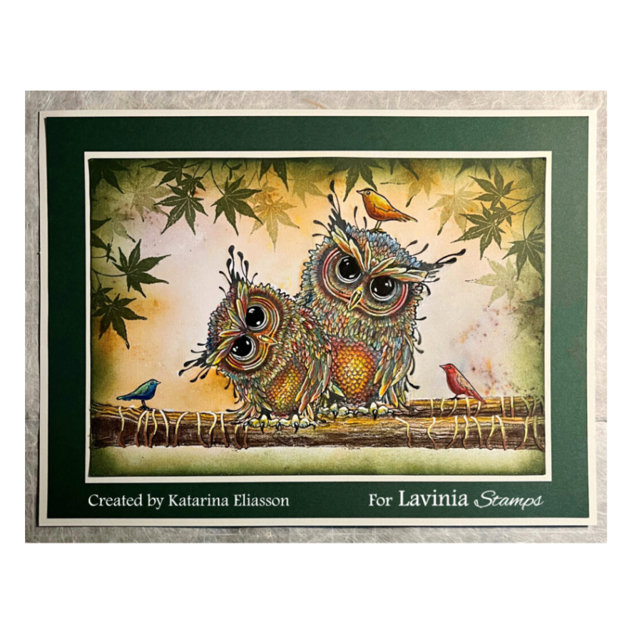 Lavinia Stamps Bird Collection Clear Stamps lav756 owls