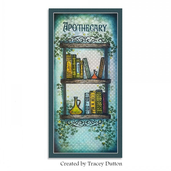 Lavinia Stamps Book Of Lost Words Clear Stamps lav958 shelves