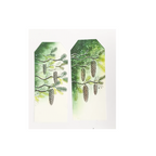 Lavinia Stamps Sugar Pine Cone Clear Stamps lav1018 tags