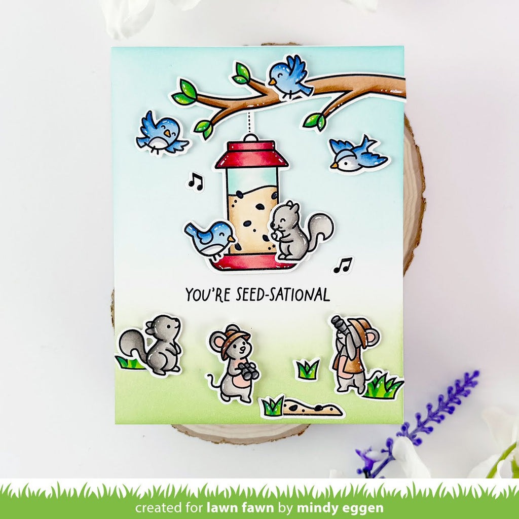Lawn Fawn Backyard Bird Feeder Stamps lf3707 seed-sational