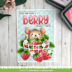 Lawn Fawn Tiny Gift Box Mouse Add-On Dies lf3809 berry