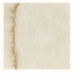 Lindy's Stamp Gang Sandlewood Scents Shimmer Shaker color