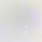 Lindy's Stamp Gang Unicorn Bling Just Shimmer Spray sample