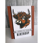 Simon Says Stamps and Dies Highland Cows set1053hc STAMPtember Birthday Card | color-code:ALT05