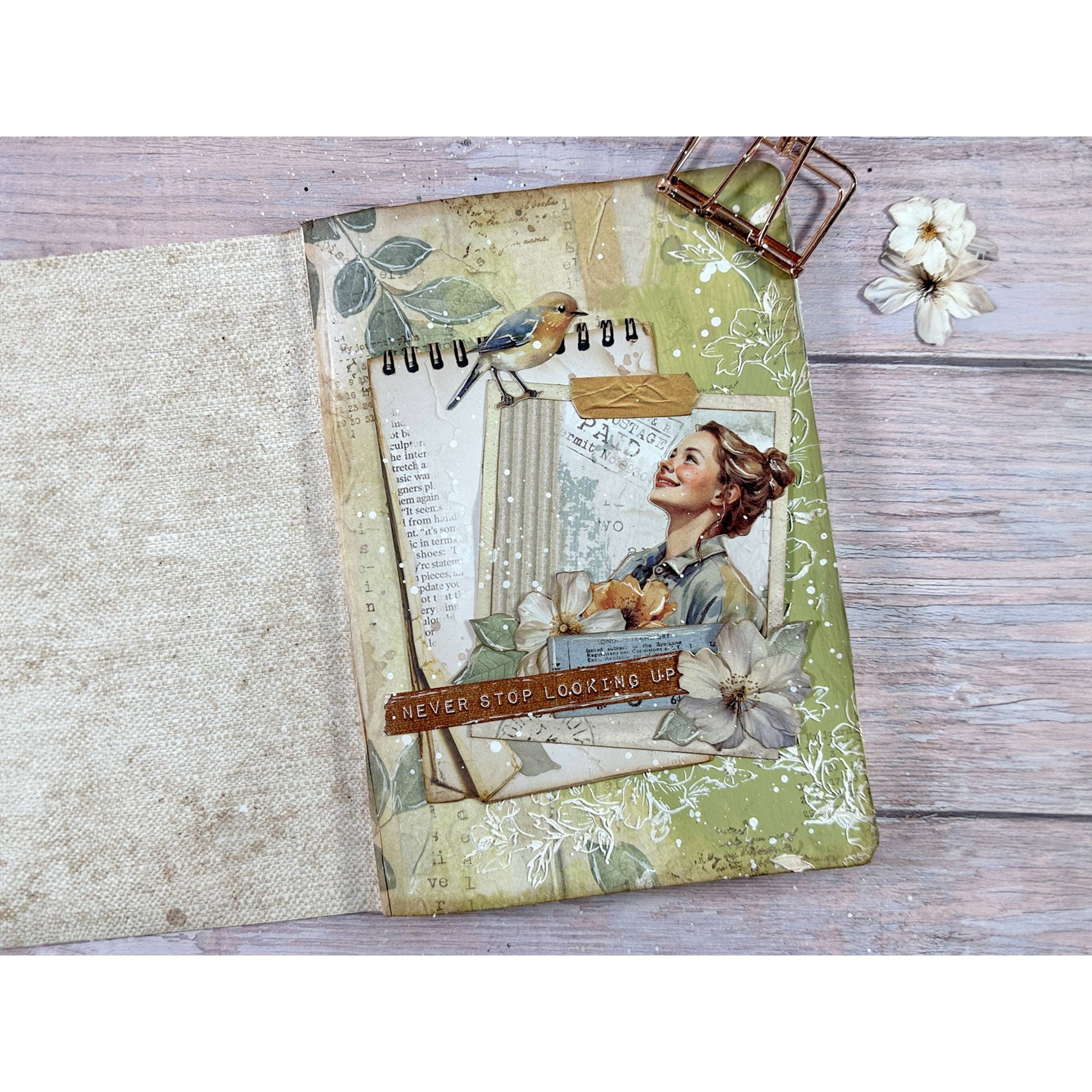 Stamperia Create Happiness Secret Diary 12x12 Paper sbbl152 never stop looking up