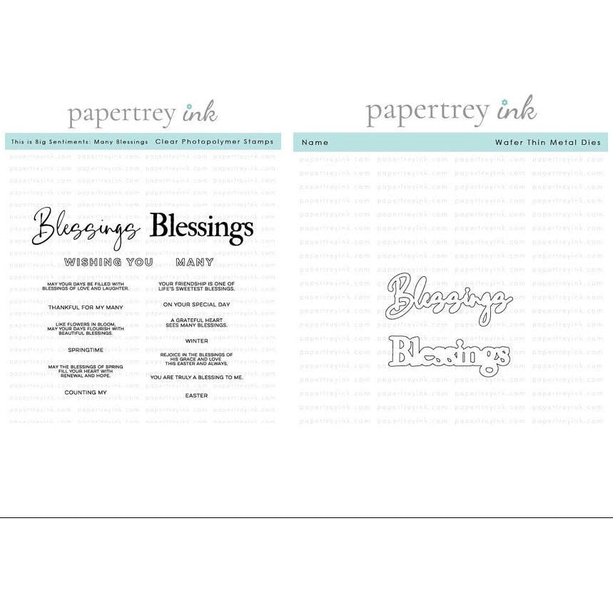 Papertrey Ink This is Big Sentiments Many Blessings Clear Stamp and Die Set