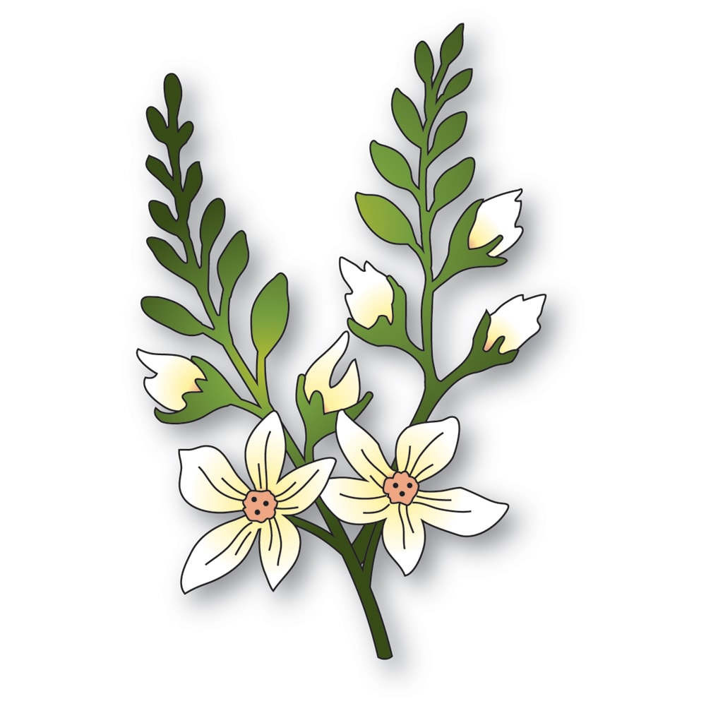Memory Box Crocosmia Stems Dies 94879
