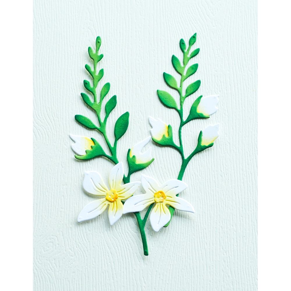 Memory Box Crocosmia Stems Dies 94879 flowers