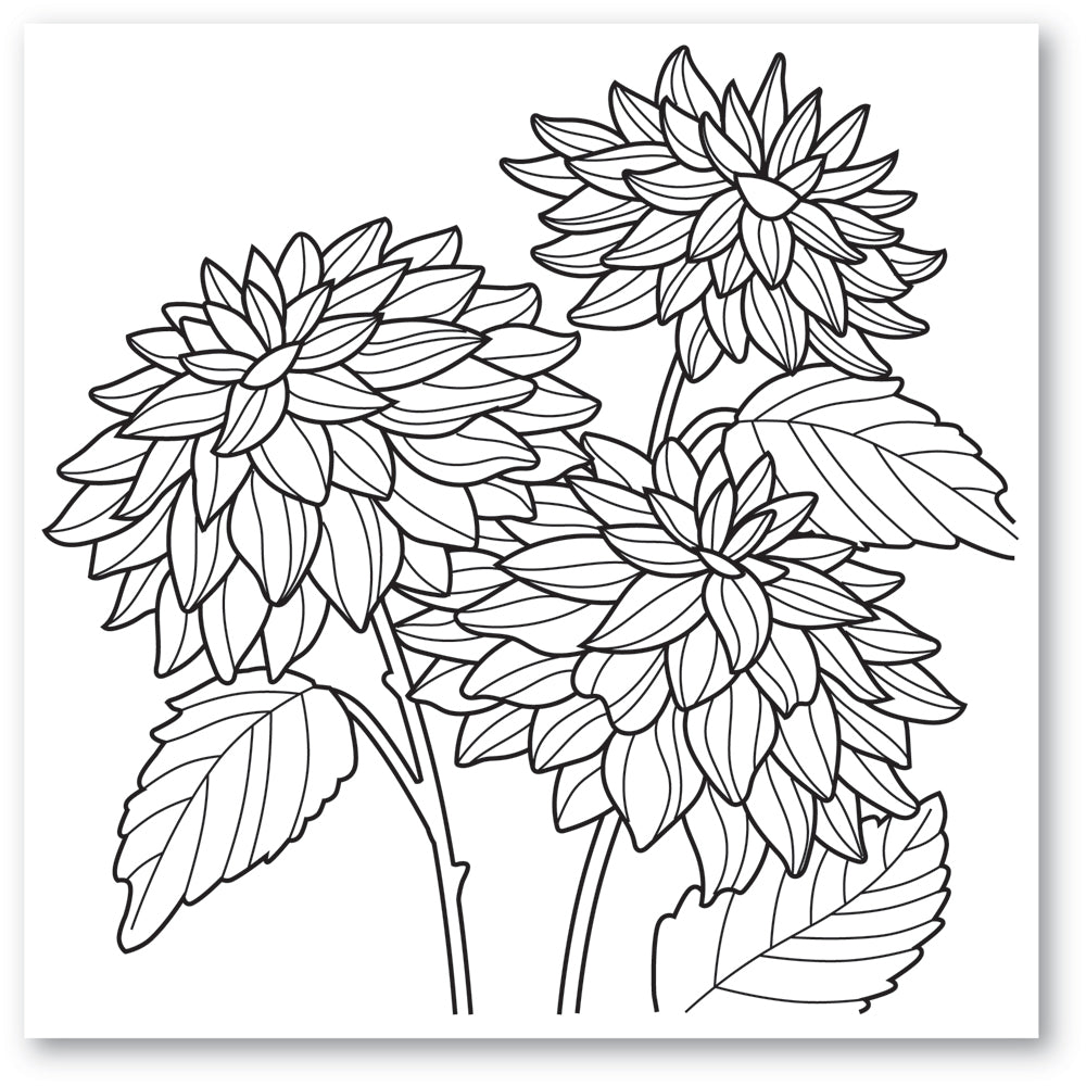 Memory Box Dahlia Stems Cling Stamp cs2087