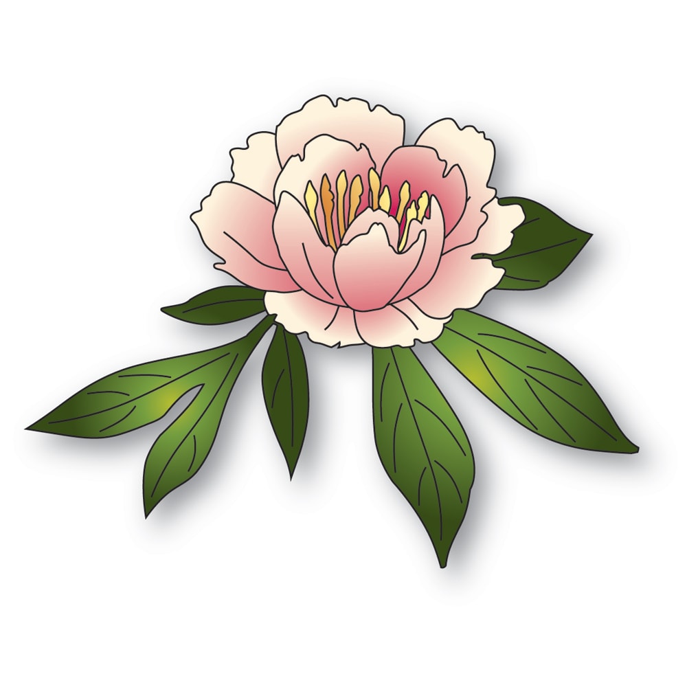 Memory Box Gentle Peony Bloom Dies 94872
