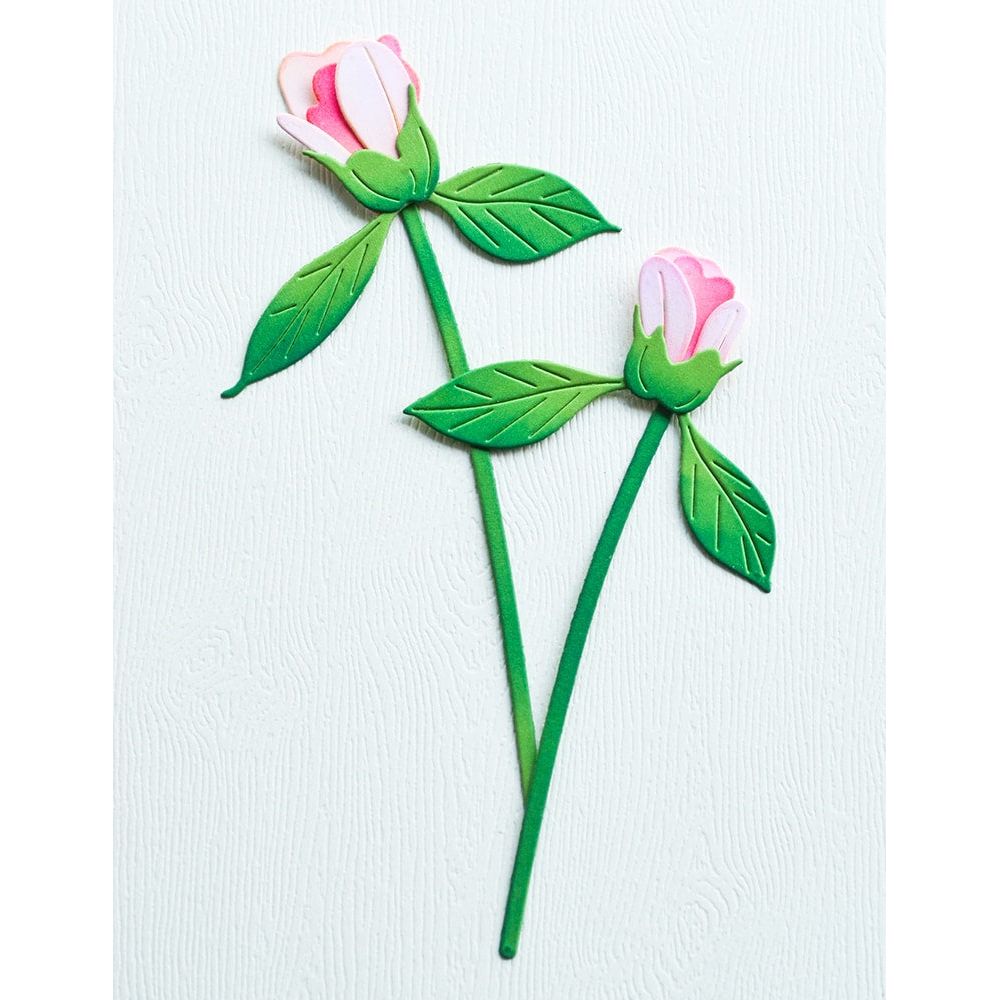 Memory Box Peony Bud Duo Dies 94874 stems