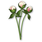 Memory Box Peony Bud Stems Dies 94876
