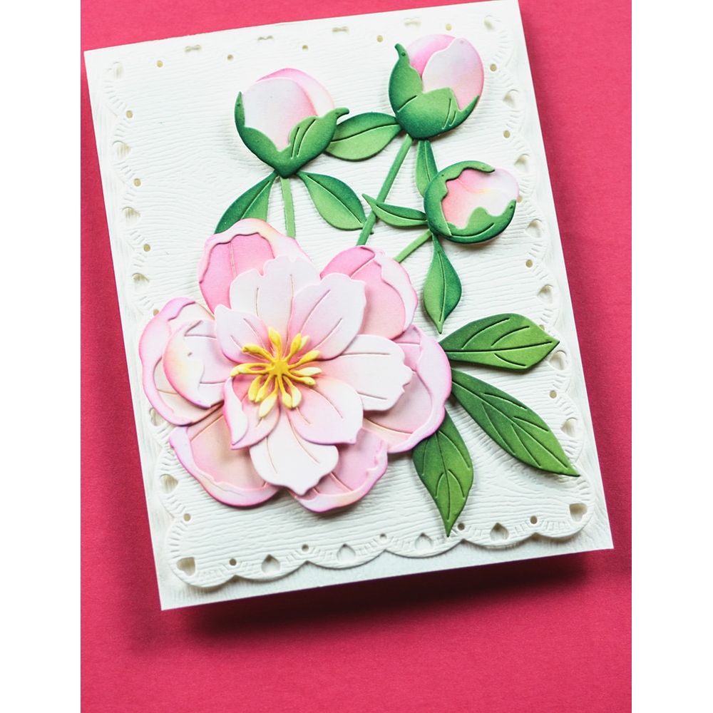 Memory Box Peony Bud Stems Dies 94876 bloom
