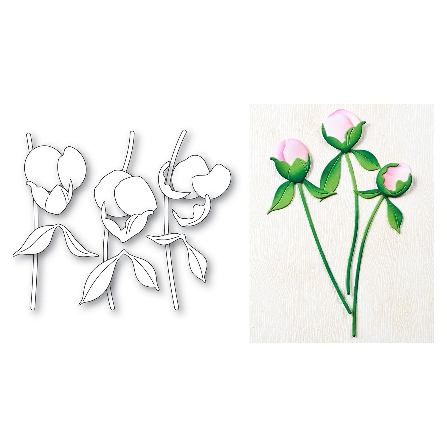 Memory Box Peony Bud Stems Dies 94876 flowers