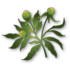 Memory Box Peony Bud Trio Dies 94880
