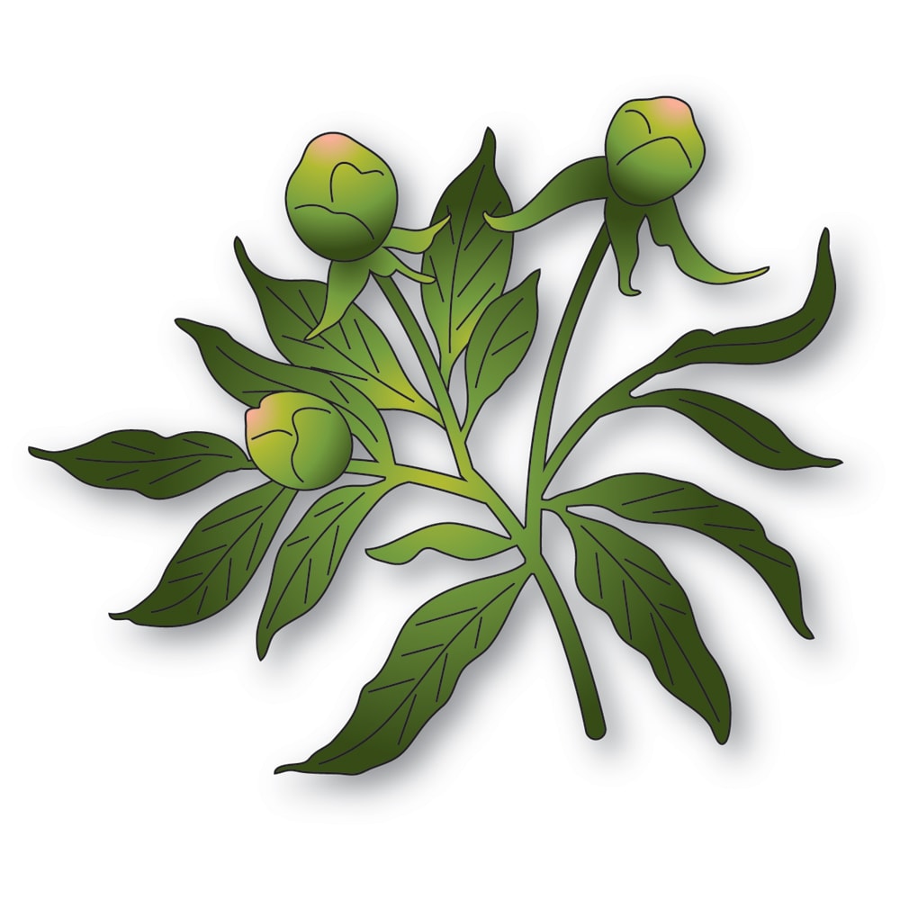 Memory Box Peony Bud Trio Dies 94880
