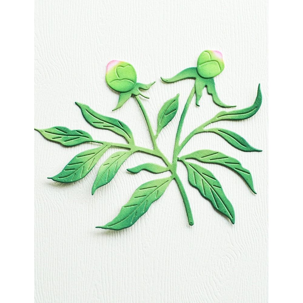 Memory Box Peony Bud Trio Dies 94880 buds