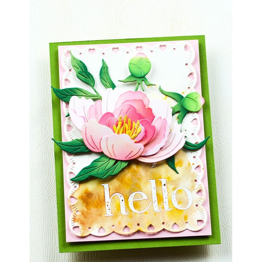 Memory Box Peony Bud Trio Dies 94880 hello