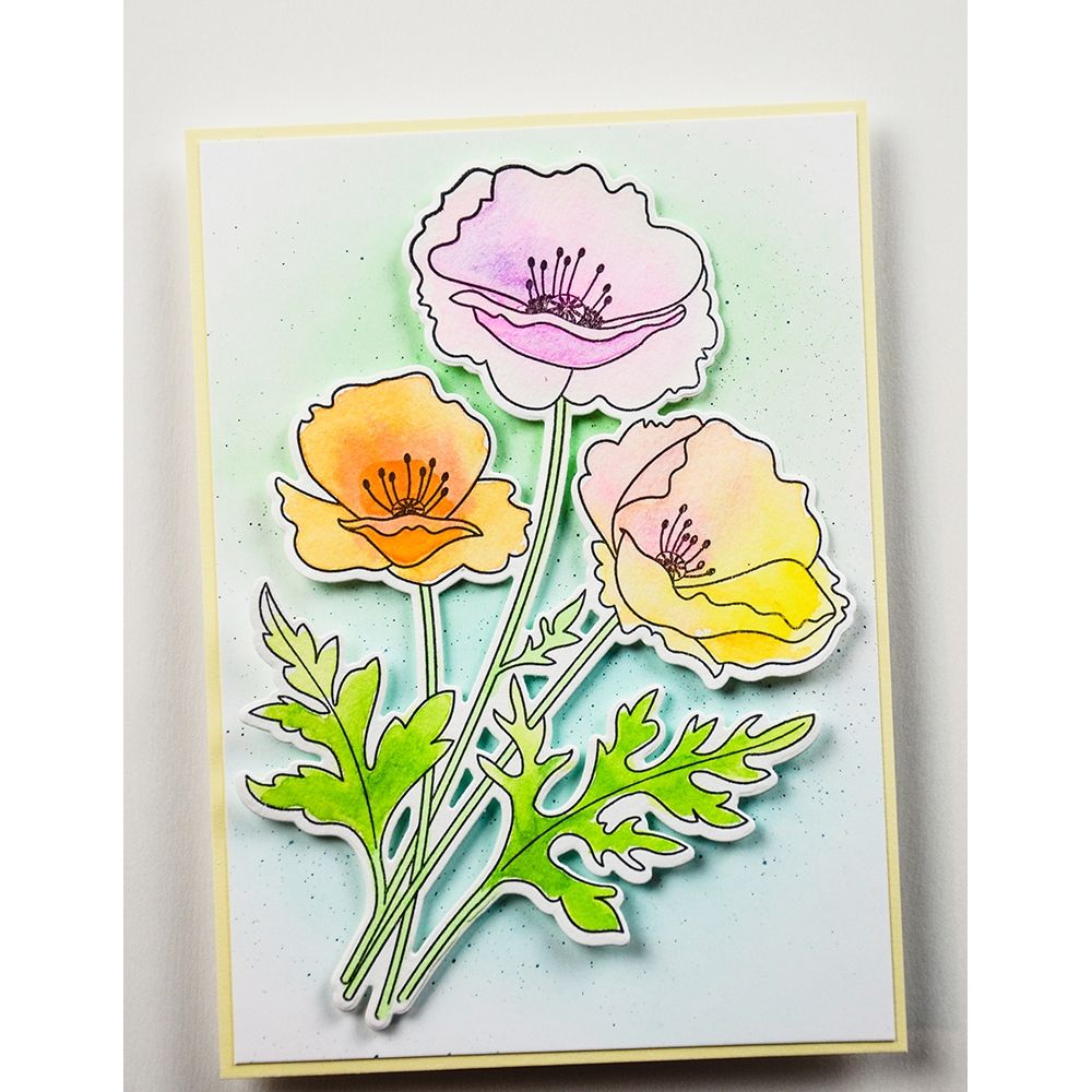 Memory Box Playful Poppies Clear Stamp and Die Set cl5281d flowers