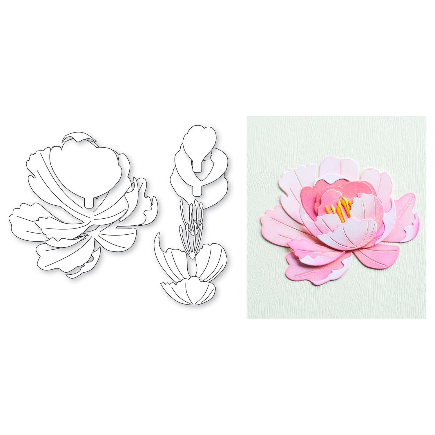 Memory Box Refined Peony Bloom Dies 94873 pieces