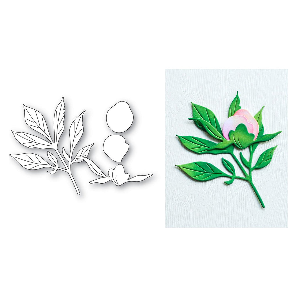 Memory Box Tender Peony Bud Dies 94881 flowers