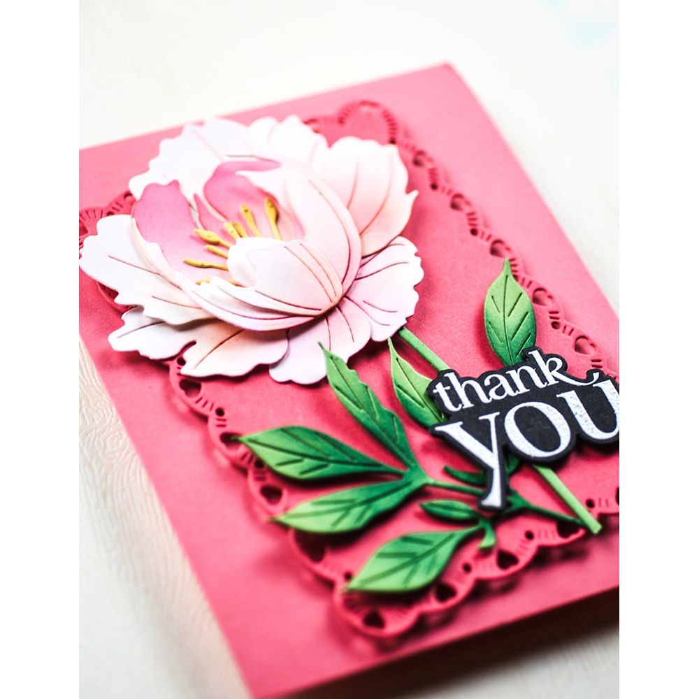 Memory Box Tender Peony Bud Dies 94881 thank you