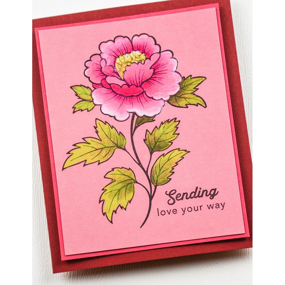 Memory Box With Sympathy Clear Stamps cl5291 flower