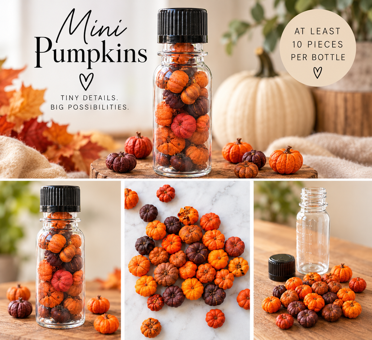 Simon Says Stamp Mini Pumpkins in Storage