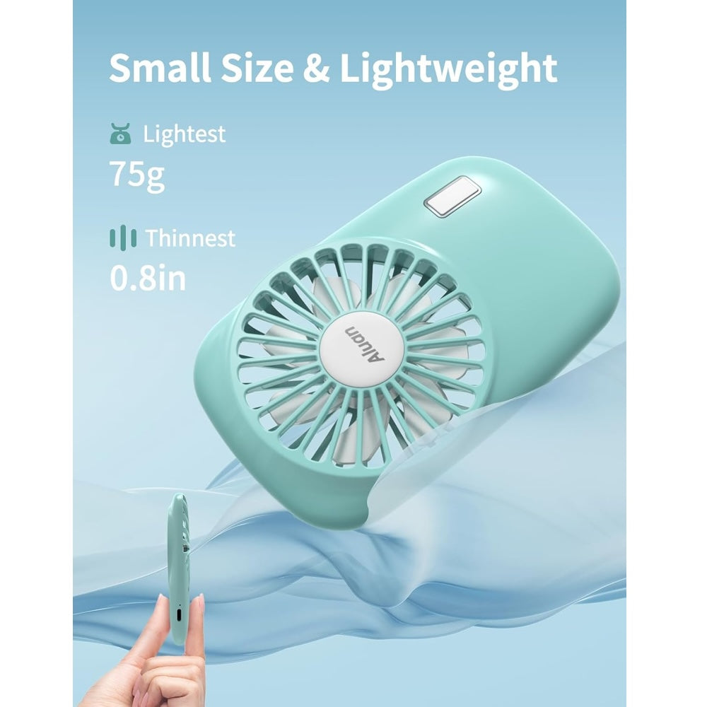 Mini Fan Dries Craft Projects Size