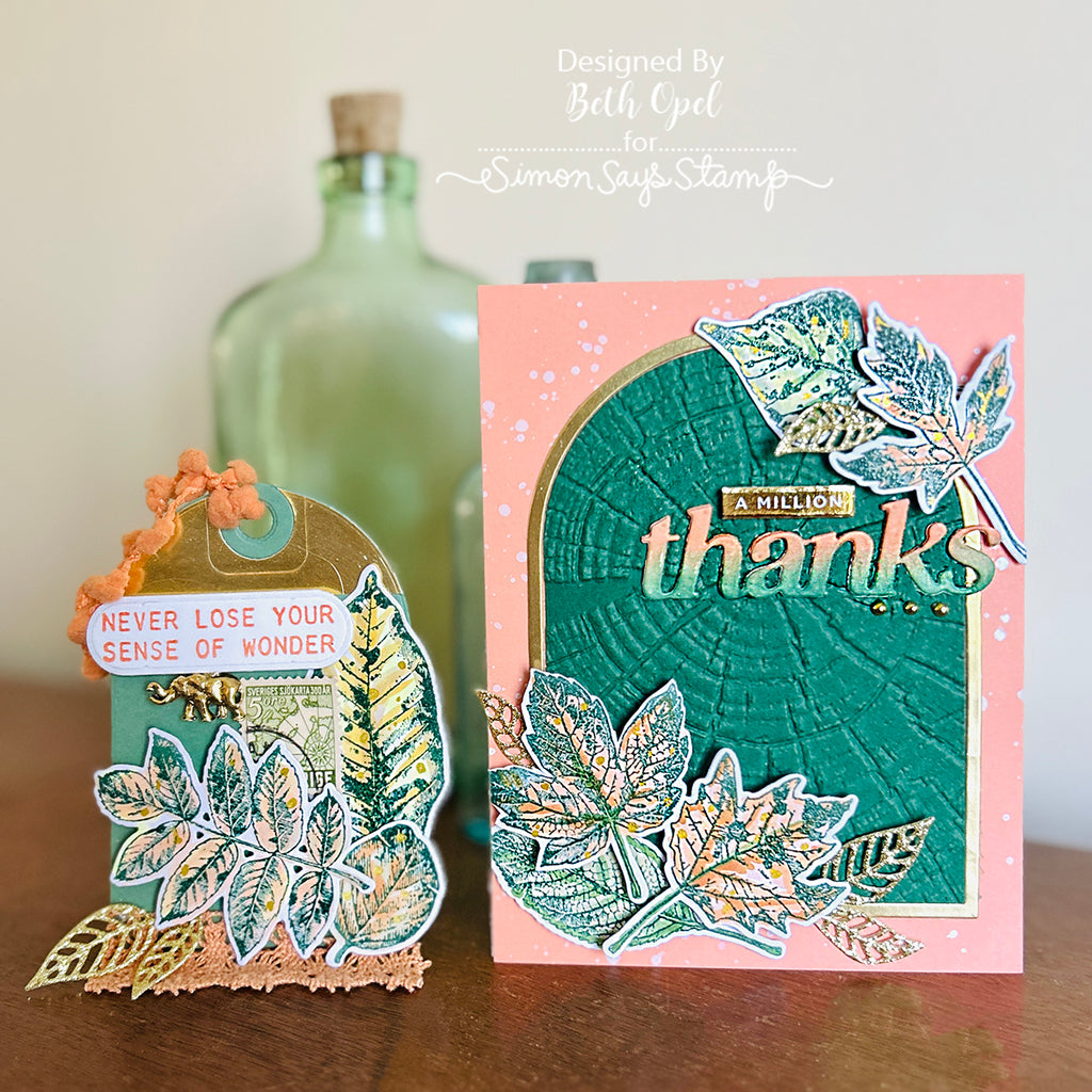 Tim Holtz Nature's Wonder Stamps with Simon Says Stamp Dies Bundle setnw25 Fall Card and Tag | color-code:ALT05