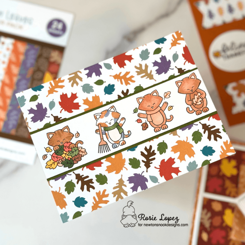 Newton's Nook Designs Autumn Leaves 6 x 6 inch Paper Pack nn2609p01 cute cats card