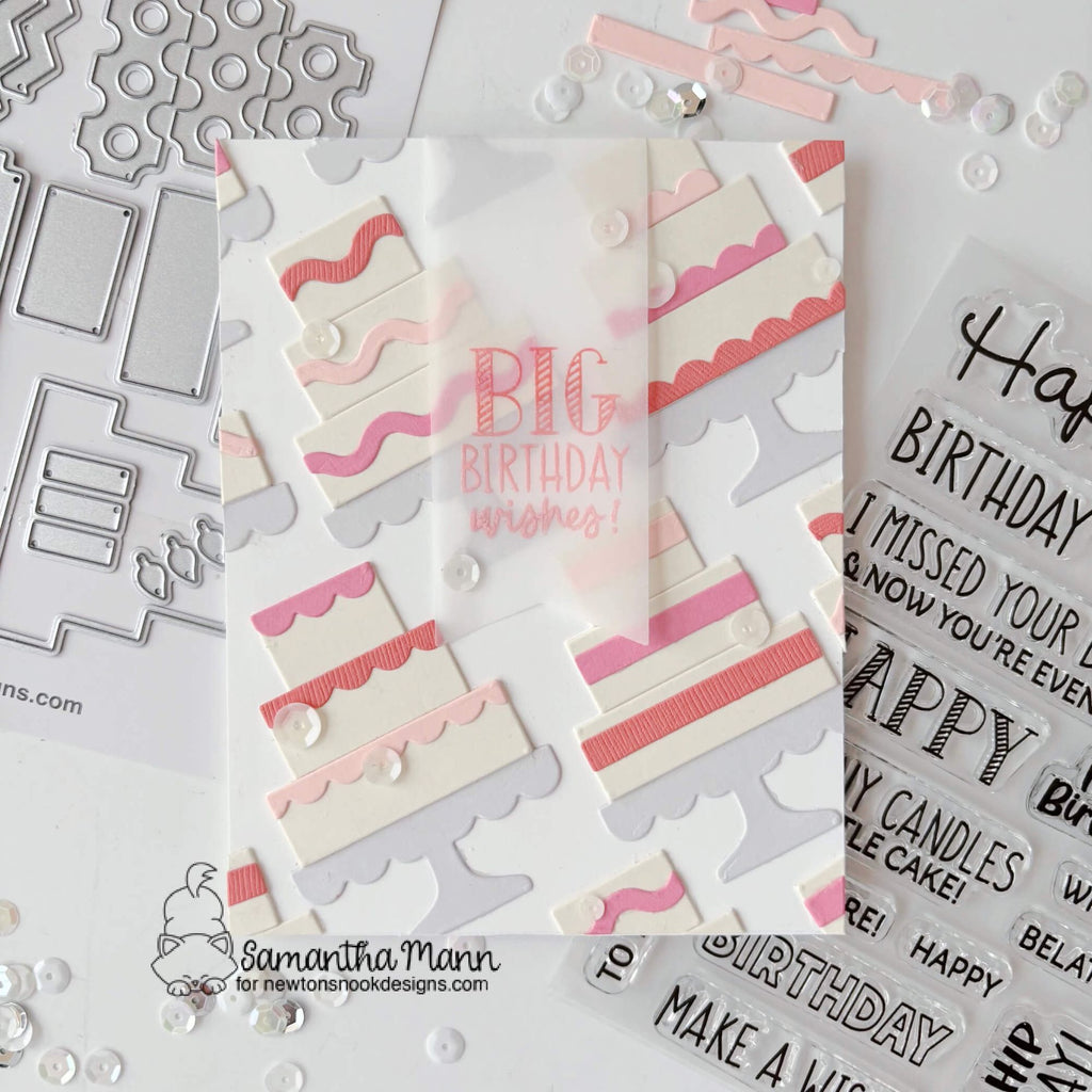 Newton's Nook Designs Birthday Greetings Clear Stamps nn2608s01 big birthday wishes card