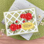 Newton's Nook Designs Lattice Die nn2503d04 happy birthday