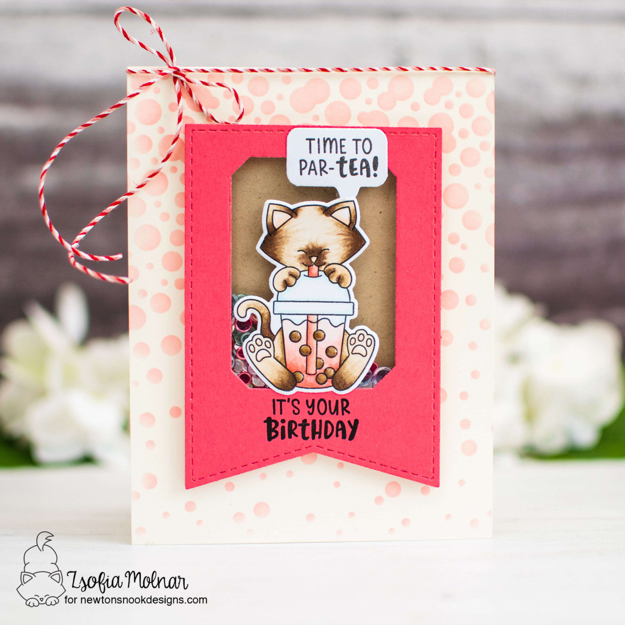 Newton's Nook Designs Newton's Bubble Tea Clear Stamps nn2404s01 birthday