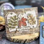 Simon Says Stamp Nature's Wonder Wafer Dies 343sss Fall Card | color-code:ALT07