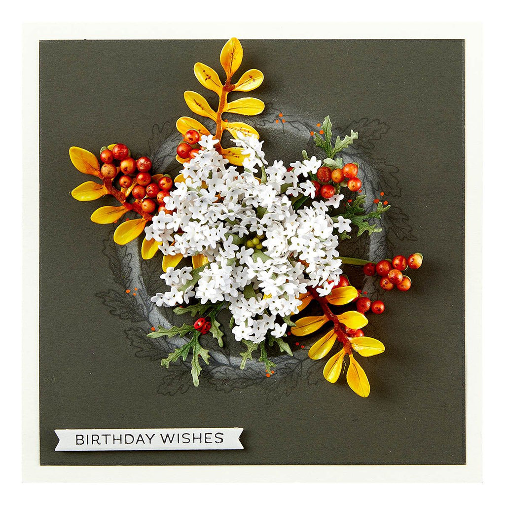 s4-1327 Spellbinders Queen Anne's Lace and Ladybugs Etched Dies birthday wishes