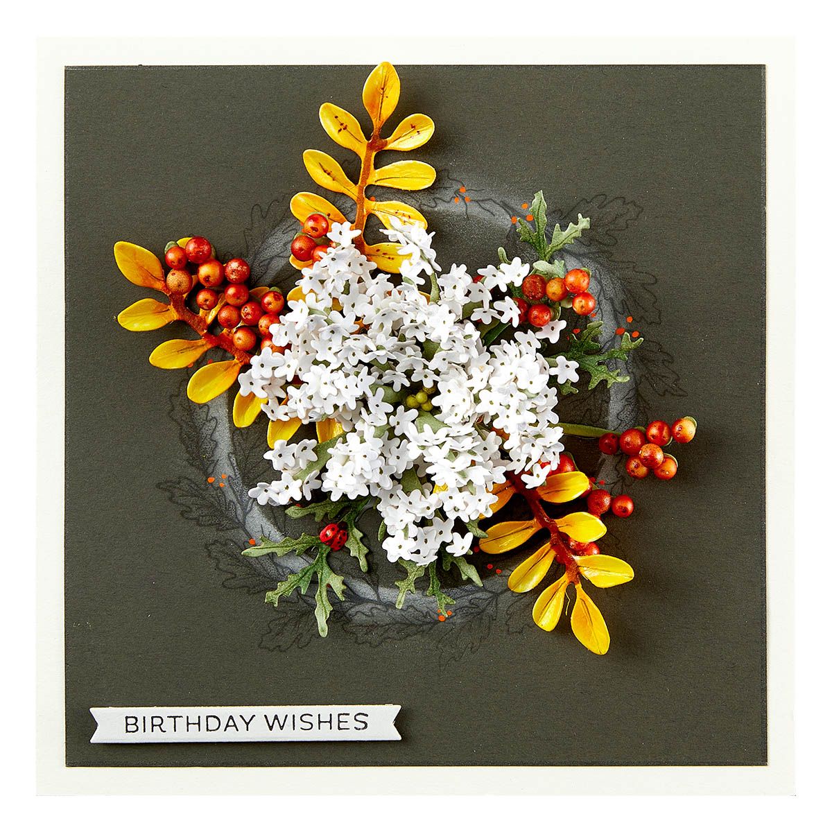 s4-1327 Spellbinders Queen Anne's Lace and Ladybugs Etched Dies birthday wishes