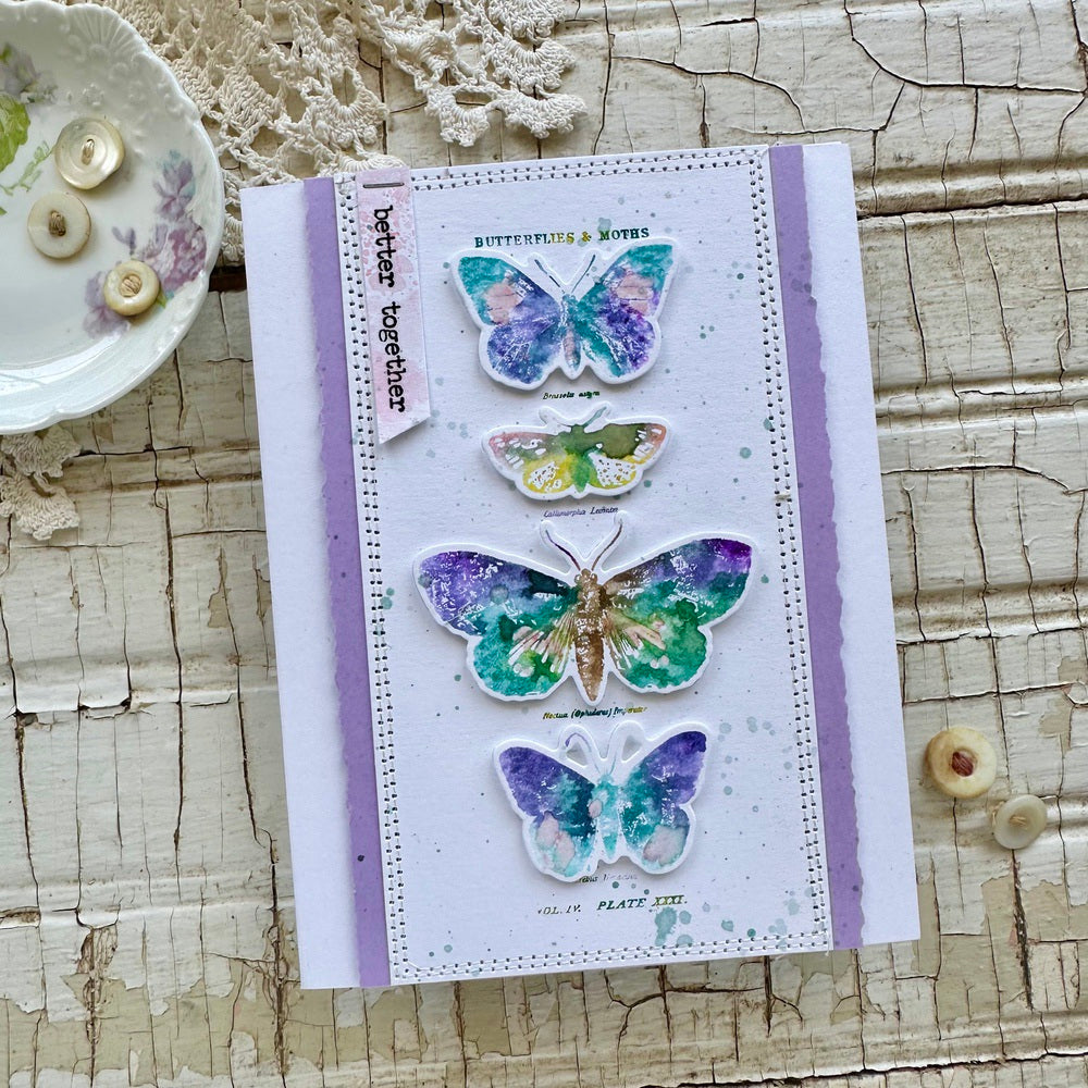 Tim Holtz Papillon Stamps with Simon Says Stamp Dies Bundle setpp25 Butterfly Card