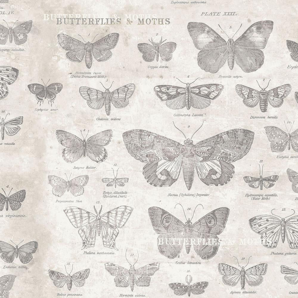Tim Holtz Eclectic Elements Fabric By The Yard Monochrome Butterflies Parchment