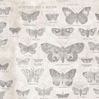 Tim Holtz Eclectic Elements Fabric By The Yard Monochrome Butterflies Parchment