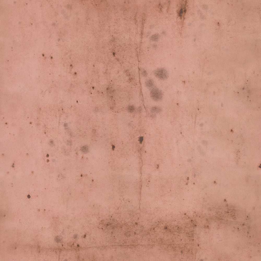 Tim Holtz Eclectic Elements Fabric By The Yard Provisions 2 Rose
