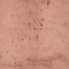 Tim Holtz Eclectic Elements Fabric By The Yard Provisions 2 Rose