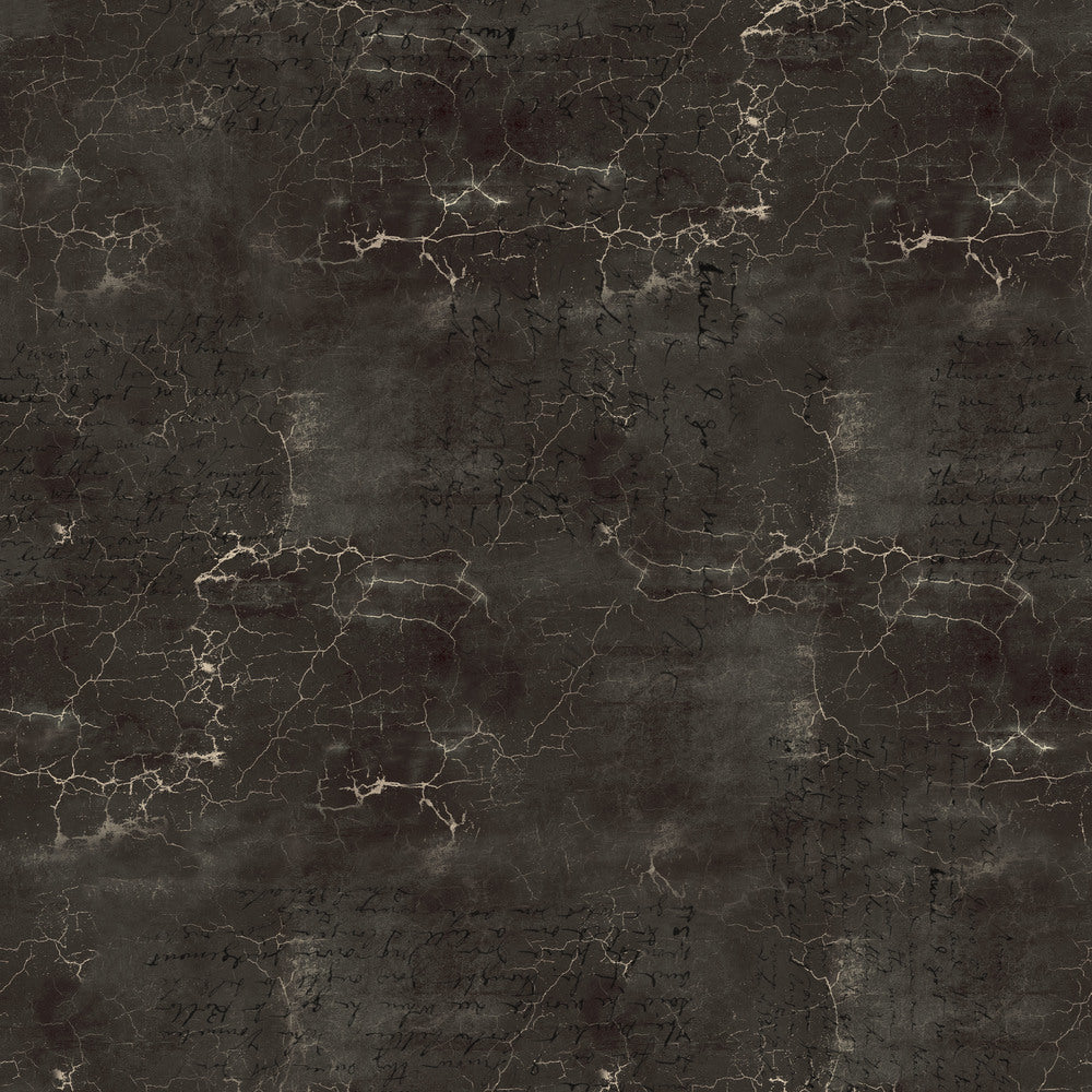 Tim Holtz Eclectic Elements Fabric By The Yard Cracked Shadow Black