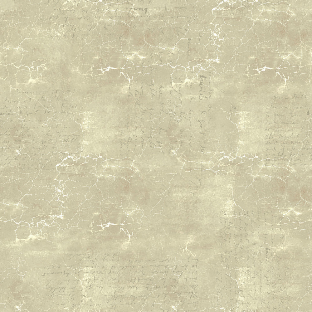 Tim Holtz Eclectic Elements Fabric By The Yard Cracked Shadow Quartz