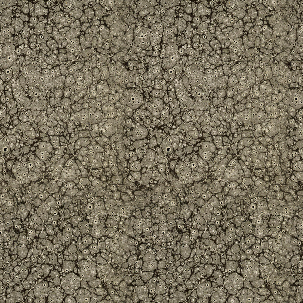 Tim Holtz Eclectic Elements Laboratory Fabric By The Yard Composition