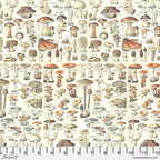 Tim Holtz Fabric Palette Orange Bundle of 10 Fat Quarters