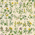 Tim Holtz Fabric By The Yard Yellow Botanical pwth245 Eclectic Elements Palette