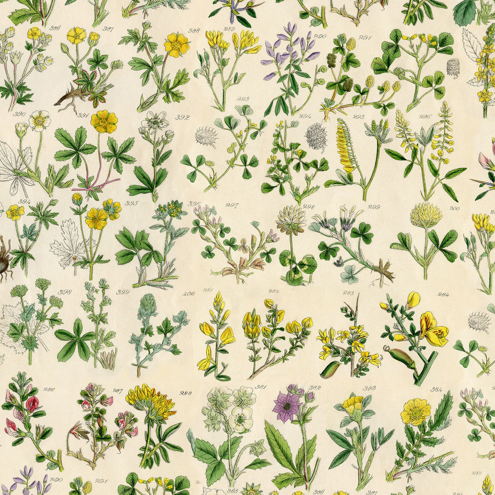 Tim Holtz Fabric By The Yard Yellow Botanical pwth245 Eclectic Elements Palette