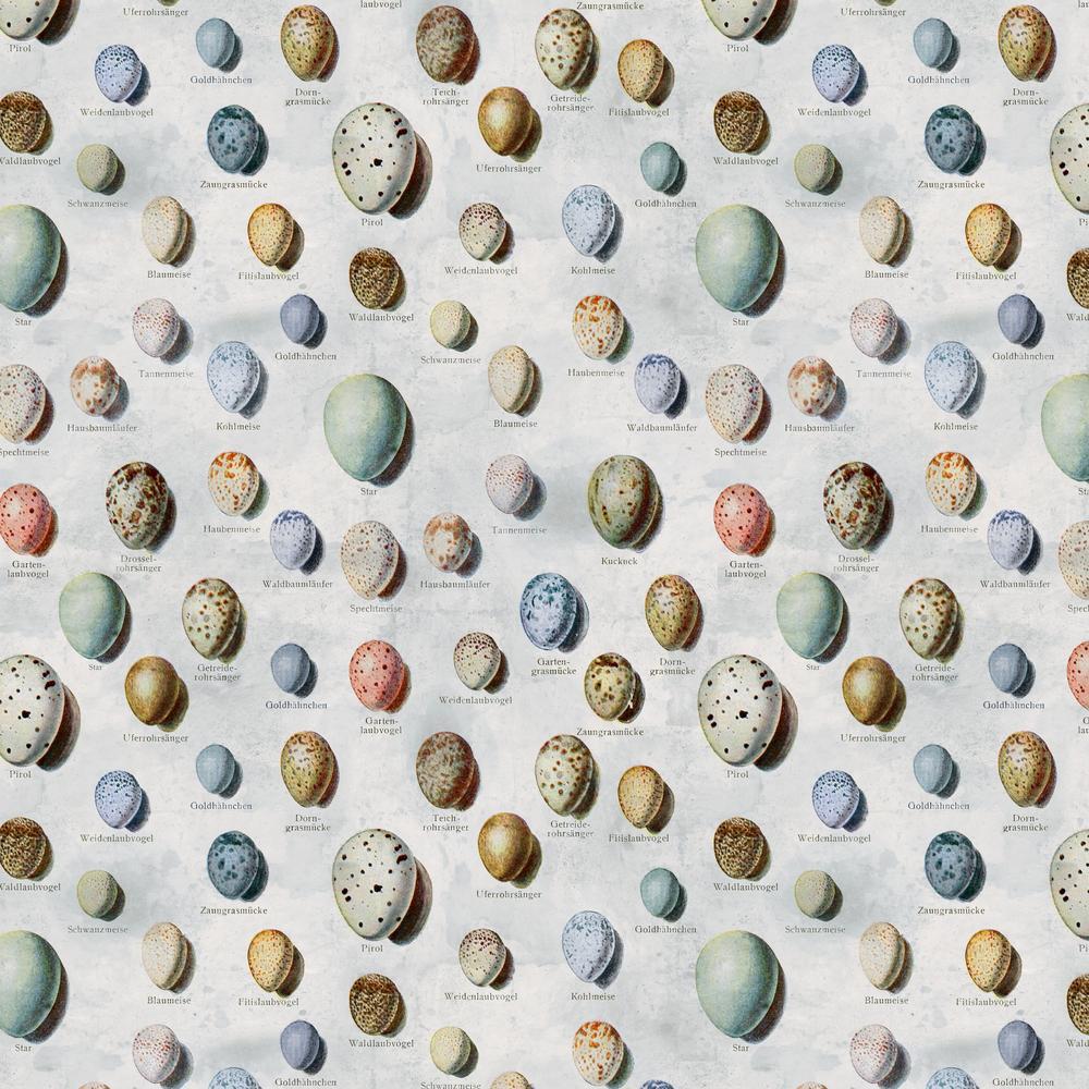 Tim Holtz Fabric By The Yard Blue Eggs pwth285 Eclectic Elements Palette